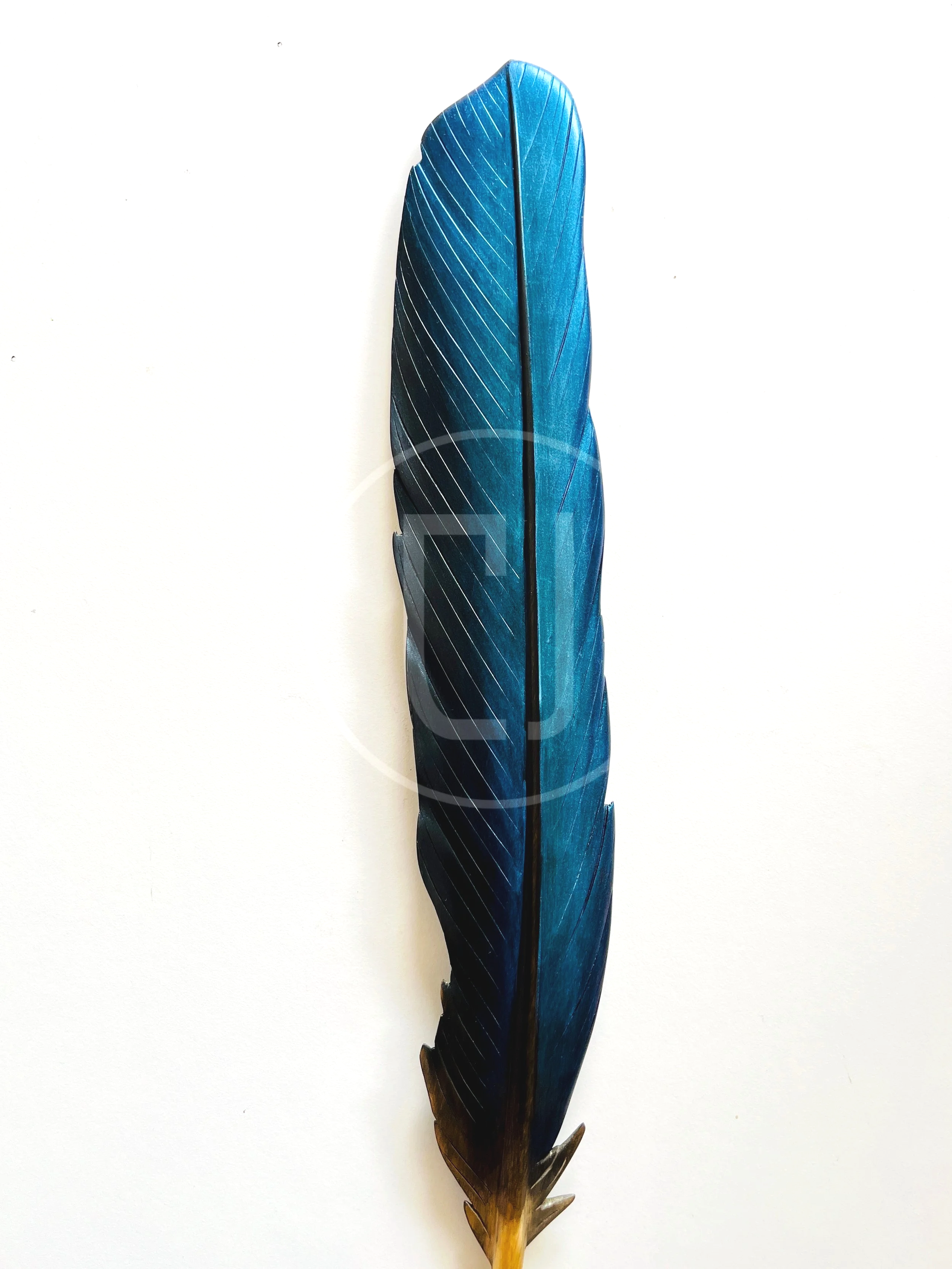 Kōtare Feathers — Claire Jensen New Zealand Artist